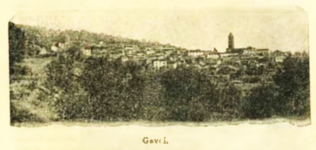Gavoi