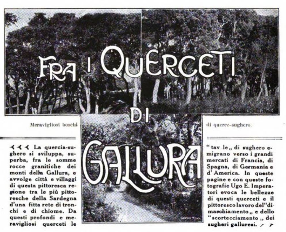 Fra i querceti della Gallura